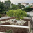 Porzione giardino